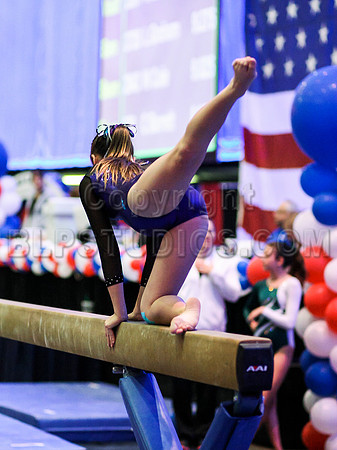 HSM_0223