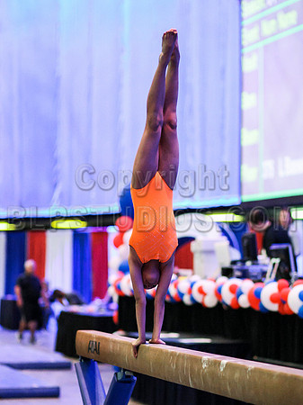 HSM_4249
