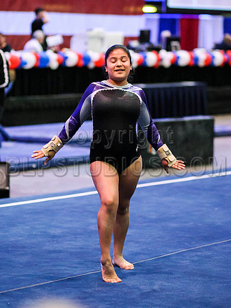 HSM_0937