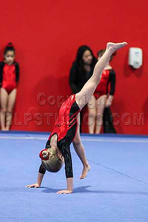 HSM_6295