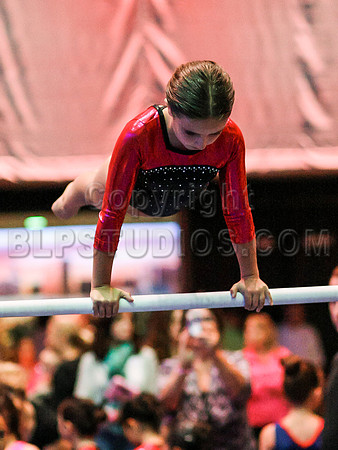 HSM_5982