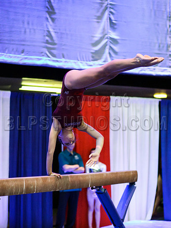 HSM_0371
