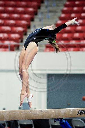 TAZ20114