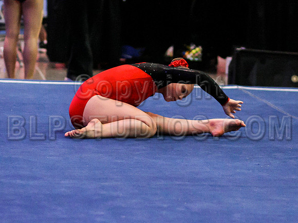 HSM_0239