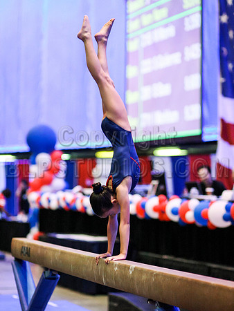 HSM_4784