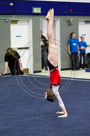 TAZ26989
