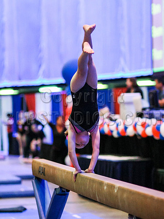 HSM_5278
