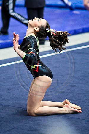 TAZ20127