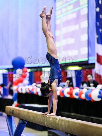 HSM_4785