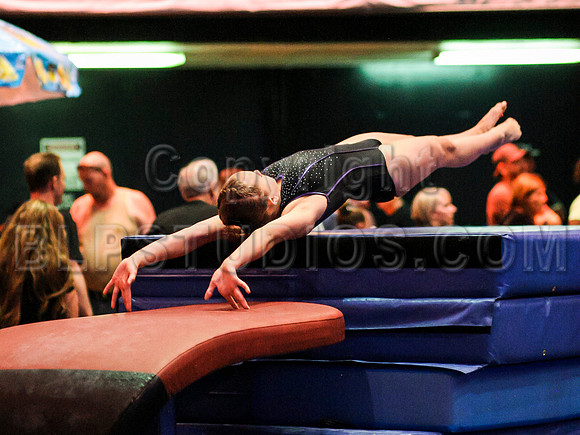 HSM_1105