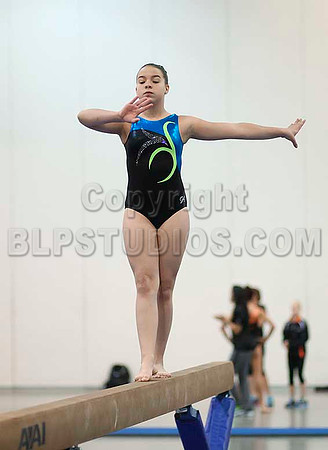 HSM_4729