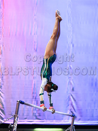 HSM_1704