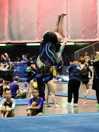 HSM_1483