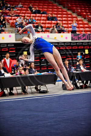 _RFJ1371