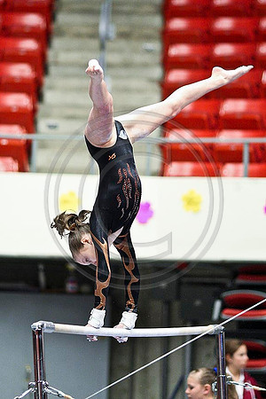 TAZ20131