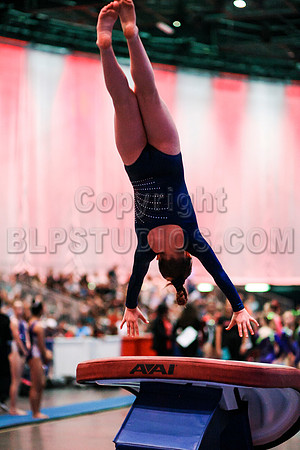 HSM_7982