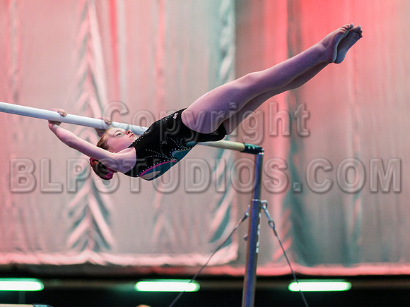 HSM_0299