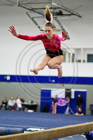 TAZ20097