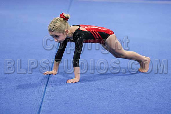 HSM_6312