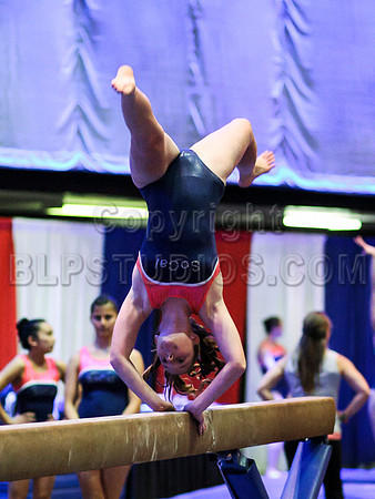 HSM_2644