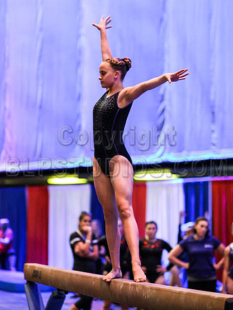 HSM_0489