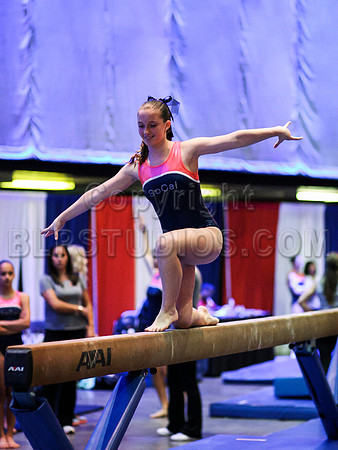 HSM_2633