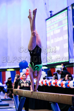 HSM_8275