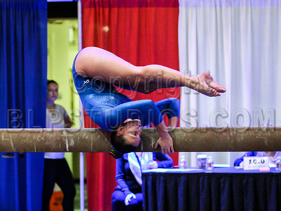HSM_0548