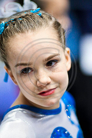 TAZ20466