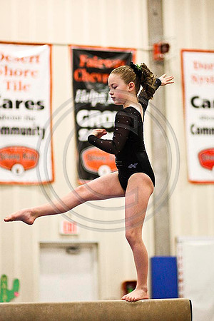 TAZ15082