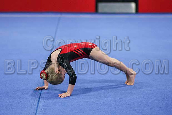 HSM_6310