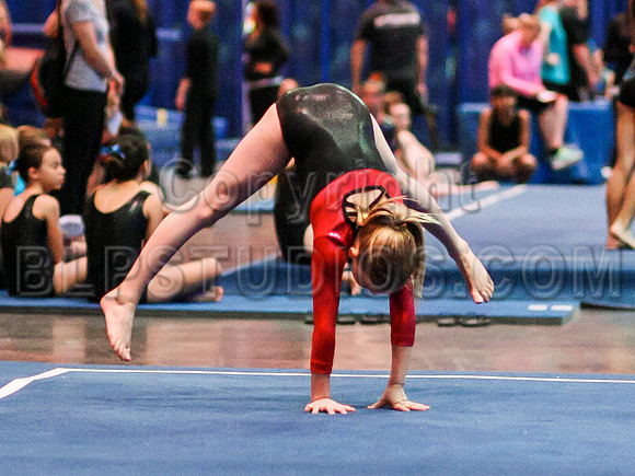 HSM_5320