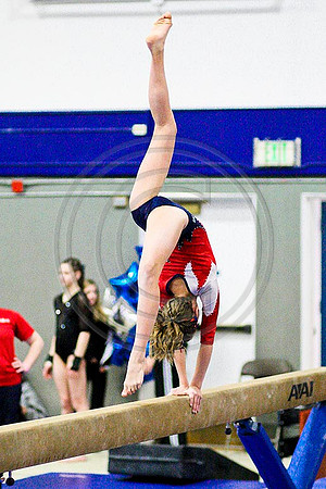 TAZ28949