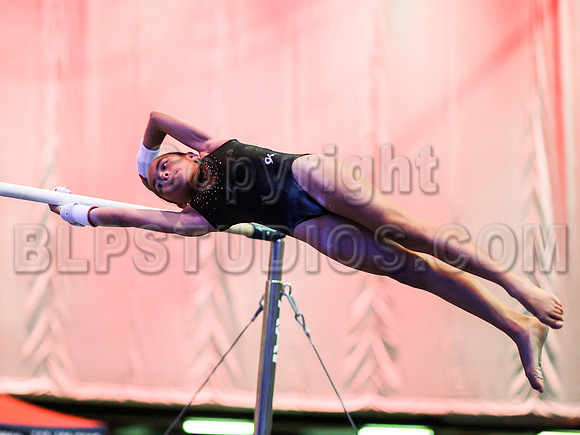 HSM_2063