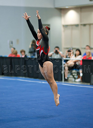 HSM_1406