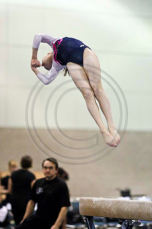 HSM_3533