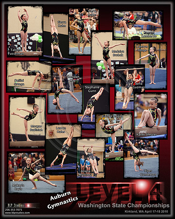 17 Pose Team Template