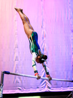 HSM_1454