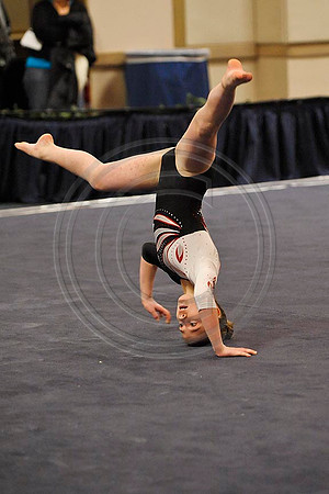 _RFJ7387