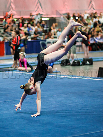 HSM_2869