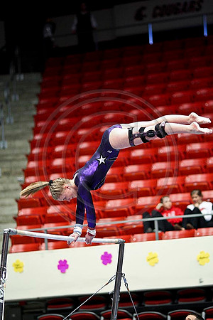 TAZ20113
