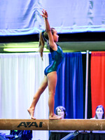 HSM_4412