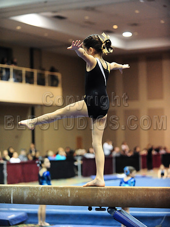 BEC_0011