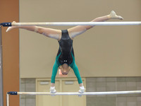 BEC_0038
