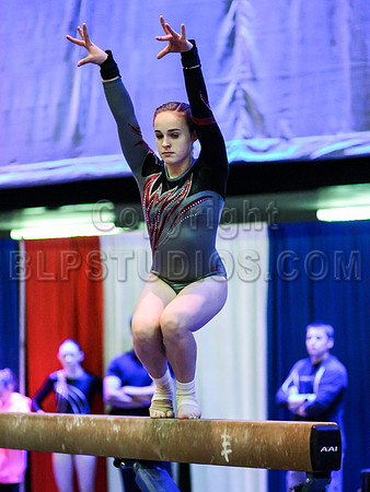 HSM_1597