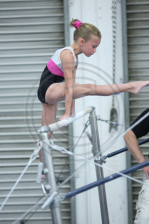 TAZ12043