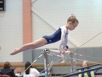 BEC_0015