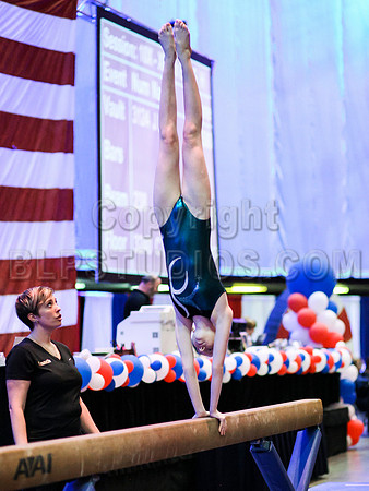 HSM_0590