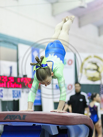HSM_6781
