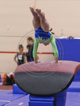 HSM_6917